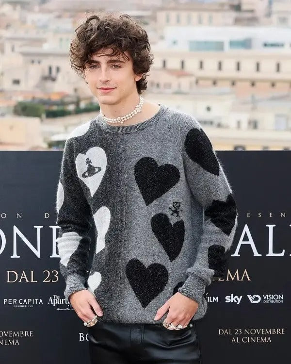 Timothée Chalamet Bones and All 2022 Grey & Black Heart Pattern Knit Sweater